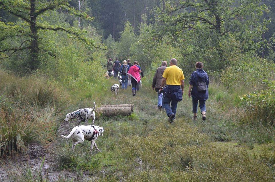 Wandeling - Dalmatiër In Nood Fonds